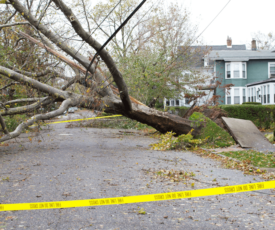 mitigate-damage-1