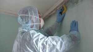 Man in hazmat gear removes mold from a wall. A lawyer can tell you whether you can sue a property owner for black mold exposure.