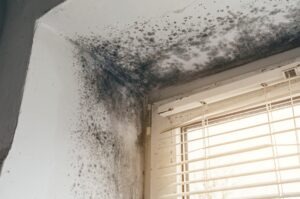 Do I need testing or inspection reports for a black mold case, specifically for this moldy ceiling?