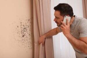 A man pulling back the curtain on black mold, on the phone to a lawyer, asking, “How long do I have to file a black mold claim?”